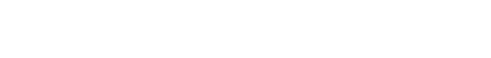 ZERO FLEET